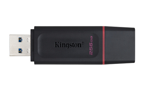 Kingston USB 3.2 FD 256GB DataTraveler Exodia