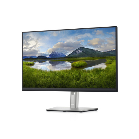DELL 60.5cm (23,8") P2422HE 16:09 HDMI+DP+USB IPS black
