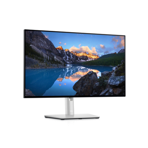 DELL 60.5cm (23,8") U2422H 16:9  HDMI+DP+USB IPS