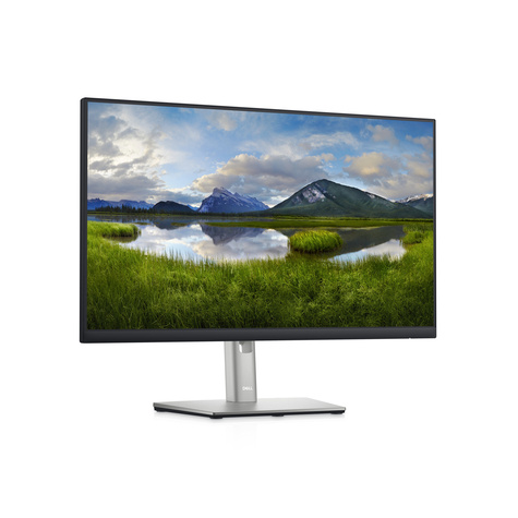 DELL 60.5cm (23,8") P2422HE 16:09 HDMI+DP+USB IPS black