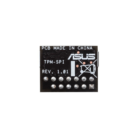Asus TPM-SPI