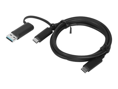 Lenovo Lenovo Hybrid USB-C auf USB-A Kabel