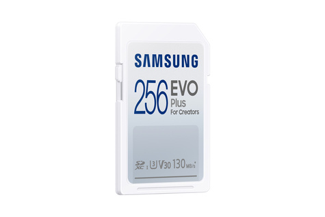 Samsung SD EVO PLUS 256GB