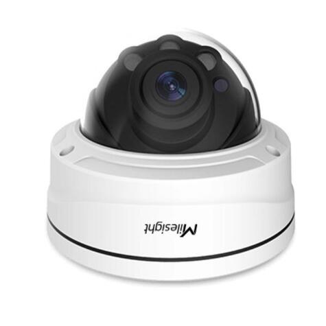 Milesight Milesight 2MP Motorized Pro Dome Network Camera (3-10.5mm)