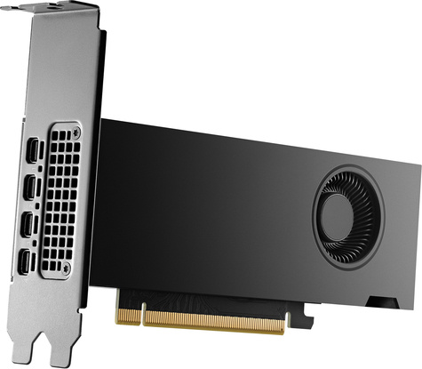 HP NVIDIA RTX 2000 16GB Graphics Card