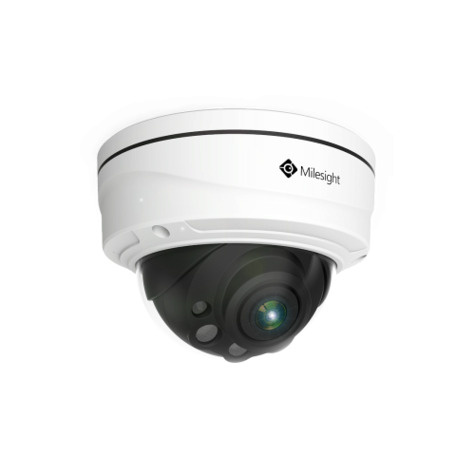 Milesight Milesight 2MP Motorized Pro Dome Network Camera (3.6-10.5mm)