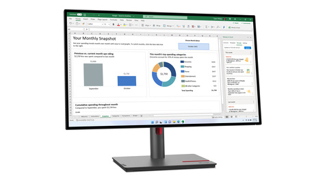 Lenovo ThinkVision P27h-30 - 27 inch - Quad HD IPS LED Monitor - 2560x1440 - Pivot / HAS / RJ45 / USB-C