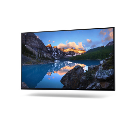 DELL UltraSharp 24 Monitor - U2422H . without stand