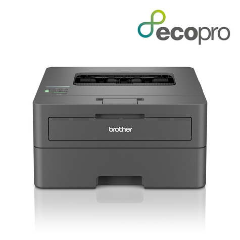 Brother HL-L2400DWE MONO / WLAN / Zwart