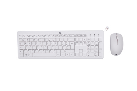 HP 230 Wireless Mouse and KeyboardCombo Wit QWERTY