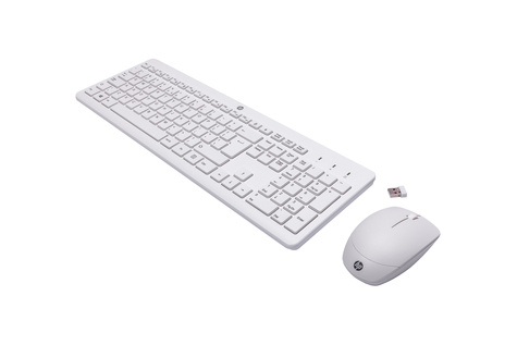 HP 230 Wireless Mouse and KeyboardCombo Wit QWERTY