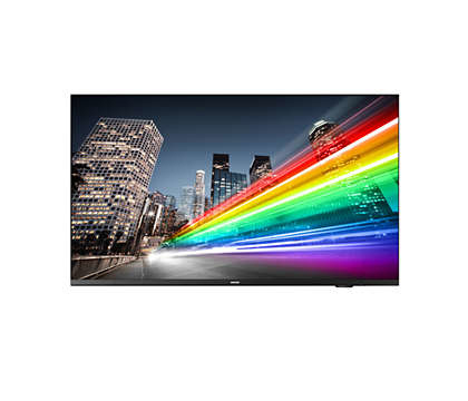 Philips PHILIPS 43BFL2214/12