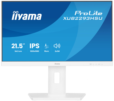 Iiyama 22iWIDE LCD 1920 x 1080 IPS panel LED Bl.