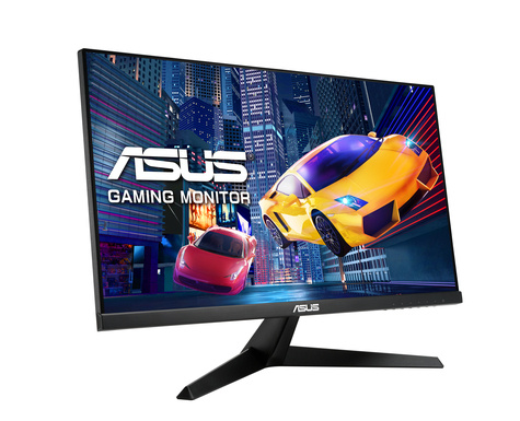 Asus ASUS ProArt VY249HGR 60.45cm (16:9) IPS FHD HDMI