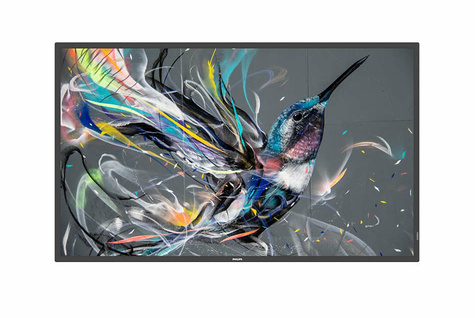 Philips 50" D-LED ECO-design 4K Display And