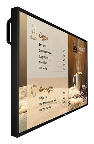 Philips 43BDL6017P/00 43" Led monitor