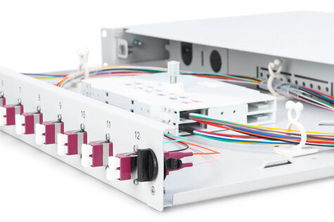 DIGITUS Professional DN-96331-4 - fiber-optic splice box - 1U - 19"