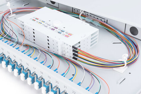 DIGITUS Professional DN-96332/9 - fiber-optic splice box - 1U - 19"