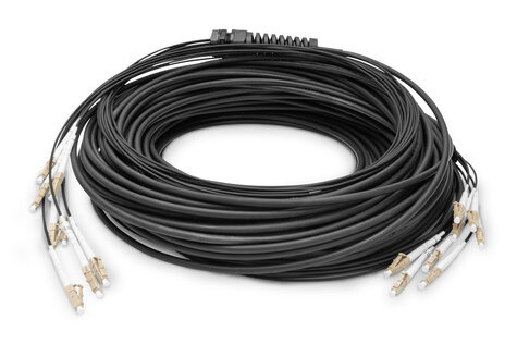 DIGITUS DIGITUS Breakoutkabel 8 vezels, OM4, LC/UPC-LC/UPC universeel, kleur: zwart, 75m