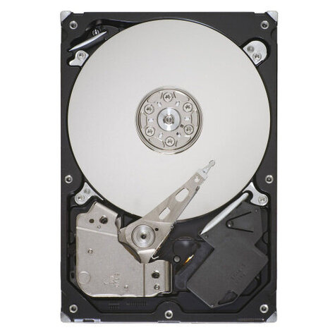 Seagate 320GB SATA-II ST3320311CS