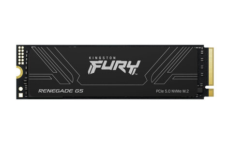 Kingston 4096GB Kingston FURY Renegade G5 PCIe