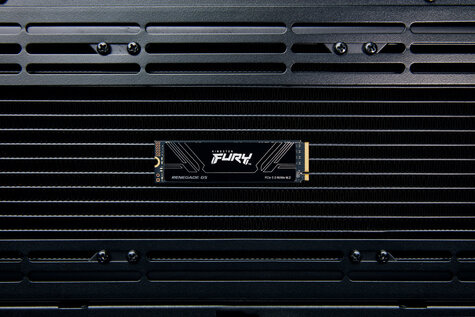Kingston 4096GB Kingston FURY Renegade G5 PCIe