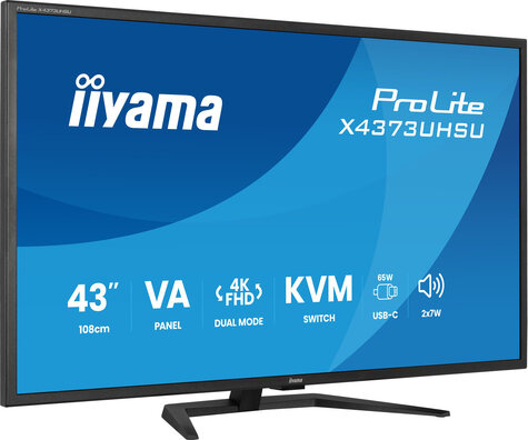 Iiyama 43iWIDE LCD 3840 x 2160 4K UHD VA panel LED Bl.