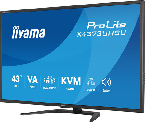 Iiyama 43iWIDE LCD 3840 x 2160 4K UHD VA panel LED Bl.