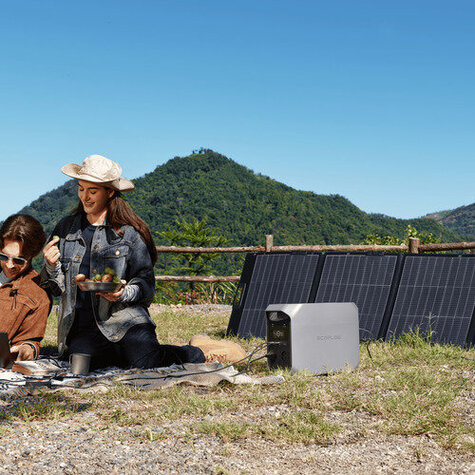 EcoFlow 220W Lightweight - Solar Panel