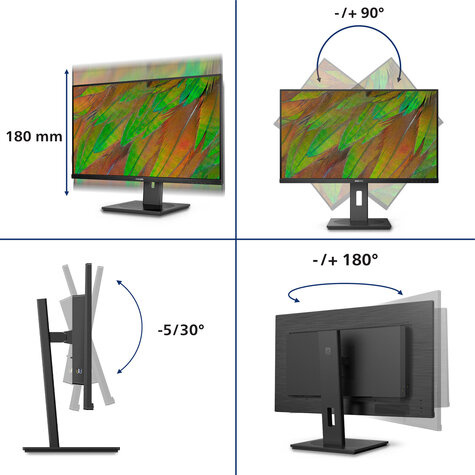 Philips 80.0cm (31.5") 32B1N3800 16:09 HDMI+DP+USB black