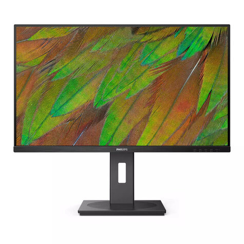 Philips 80.0cm (31.5") 32B1N3800 16:09 HDMI+DP+USB black