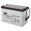 LP EV12100S accu 12 volt 100 ah Electric Vehicle VRLA Battery (12-100)