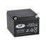 Landport (LP) VRLA-LP accu 12 volt 24.0 ah LP12-24 T3 VDS