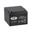 Landport (LP) VRLA-LP accu 12 volt 24.0 ah LP12-24 T12 VDS