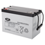 LP 2x AGM accu 12 volt 100 ah type EV12100S