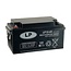 Landport (LP) VRLA-LP accu 12 volt 65 ah LP12-65 VDS