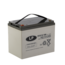 Landport (LP) EVX12100 Deep Cycle 12 v 100 ah AGM / GEL / Carbon technologie accu