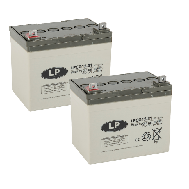 Landport (LP) 2x LPCG12-31 accu's 12 volt 31 ah + IMPULS II acculader 24v 6A