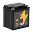 Landport (LP) SLA LTX30L Motor accu 12 volt 30,0 ah (83000 - YTX30L)