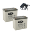 Landport (LP) 2x LPCG12-50 accu's 12 volt 50 ah + IMPULS II acculader 24v 6A