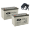 Landport (LP) 2x LPCG12-100 accu's 12 volt 100 ah + IMPULS II acculader 24v 11A