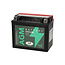 Landport (LP) LTX12-BS 12 volt 10,0 ah AGM motor accu (51012 - YTX12-BS)