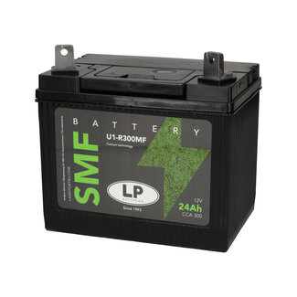 Landport (LP) U1-R300 MF motor / grasmaaier accu 12 volt 24 ah (LB U1-R300MF)