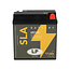 Landport (LP) SLA 6N11A motor accu 6 volt 11,0 ah (01199)