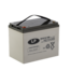 Landport (LP) AGM-GEL-Carbon accu EVX12-100 Deep Cycle 12 v 100 ah