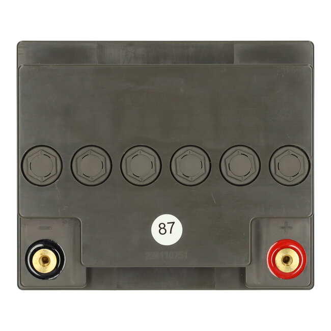 Landport (LP) 2x LPCG12-38 accu's 12 volt 38 ah + IMPULS II acculader 24v 6A