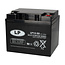 Landport (LP) VRLA-LP accu 12 volt 45 ah LP12-50