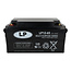 Landport (LP) VRLA-LP accu 12 volt 65 ah LP12-65 VDS