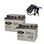 Landport (LP) 2x EVX12-53 accu's 12 volt 53 ah + IMPULS II acculader 24v 6A