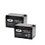 Landport (LP) 2x EVX12-15 accu's 12 volt 15 ah + acculader 24v 2,8A